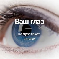 У меня плохие новости: и нос Ваш - ничего не видит....