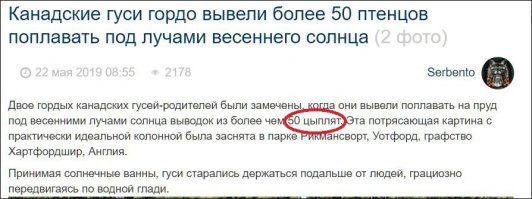 Автор, чо курим? 

Откуда у гусей цыплята? Может всё же гусята?