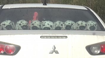 А я недавно в пробке стояла вот за этим: