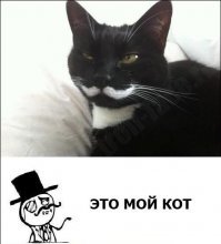 Подборка фотоприколов