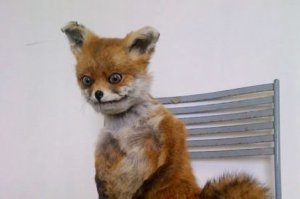 Первая явно косплеит его: