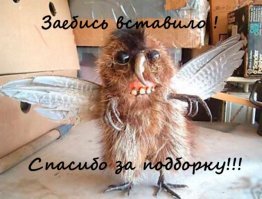 Упоротые картинки