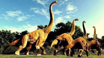 Гифки всякие