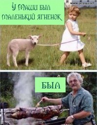 25 забавных комиксов о повседневной жизни