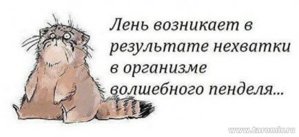 Как заставить себя не откладывать дела на завтра?