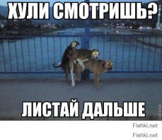 Телекомпания в Алабаме отказалась показывать мультик с браком однополых зверушек