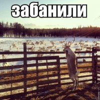 Упоротые картинки
