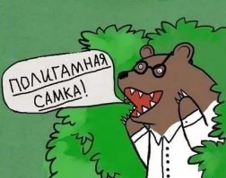 Отзывы в сети