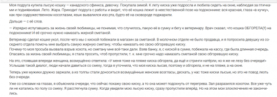 Могут ли наши четвероногие друзья получить солнечный ожог?