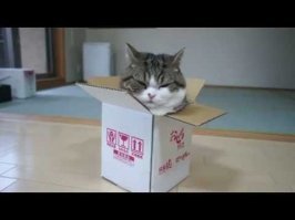 красиво...но КОРОБОЧКА лучше будет.