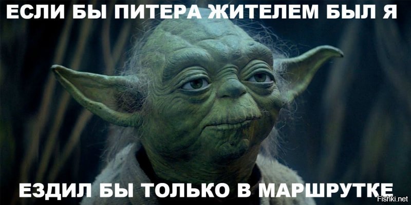 Прикольные и смешные картинки