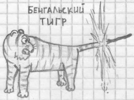 Прикольные и смешные картинки