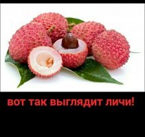 Автор, ты сам в курсе что ты тут навыкладывал?

Фейхоа перепутал с овощным физалисом, личи перепутал с рамбутаном!