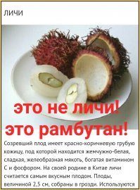 Автор, ты сам в курсе что ты тут навыкладывал?

Фейхоа перепутал с овощным физалисом, личи перепутал с рамбутаном!