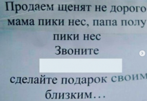 Мама таскает "пики", а папа - "червы"...