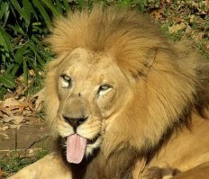 Присунуть втихаря хотел