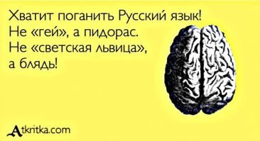 Прикольные и смешные картинки