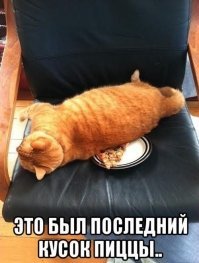 Гифки для любителей пиццы