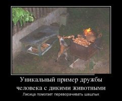 Демотивируй