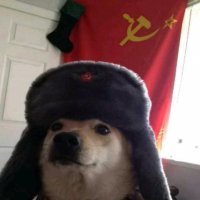 странно что нас не обвинили, мода прошла наверное.