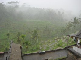 Классный пост, спасибо автору. Как сам побывал)) Я сам в Индонезии тоже побывал на террасах, впечатления не забываемые, правда не смогли по ним прогуляться т.к. пошел тропический ливень, а еще заезжали на плантации кофе и какао, вот там варили на костре собранный урожай на этих плантациях, ни чего вкуснее еще не пивал))