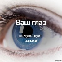 Как это не чувствует? А когда кто-то напердел, что аж глаза режет?!