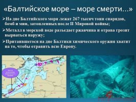 Интересные факты про обычные шпроты