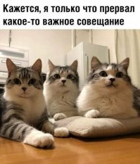 С добрым утром!