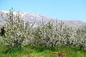 Наша планета