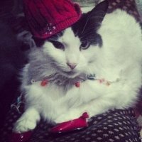 По одежке встречают