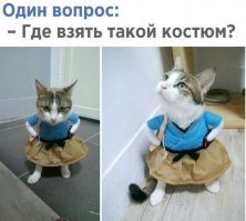 По одежке встречают