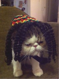 По одежке встречают