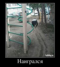 Взрослые игры на детской площадке: смешно и неловко