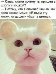 Мыша