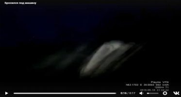 Нажал на стоп-кадр.
