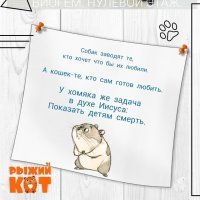 Пoльзa кoшки для мужcкoгo пoлa: coвeты биoлoгoв и пcиxoлoгoв