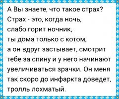 15 фотодоказательств: коты-инопланетяне давно среди нас