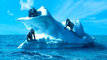 Как выглядит шествие айсбергов по Лабрадорскому морю