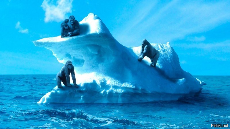 Как выглядит шествие айсбергов по Лабрадорскому морю