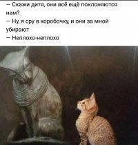 Прикольные и смешные картинки
