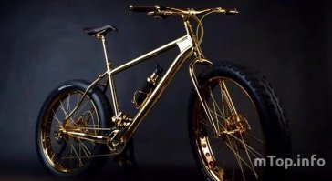 House of Solid Gold
$500000
Самый дорогой горный велосипед не только покрыт желтым золотом, но и отделан черными алмазами и сапфирами. Седло обшили кожей крокодила, а бутыль для воды – кожей ската.