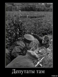 Самые богатые наркоторговцы в мире