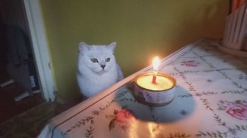 С добрым утром!