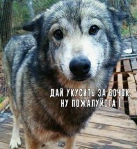 Никогда не ложитесь на Краю!