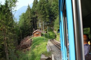 Катался в Швейцарии в поездах, "ползающих" по горам. Немножко поснимал...