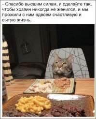 У них с котом абажур (на заднем плане) из 5 литровой бутылки.
Бабой там долго не запахнет :)