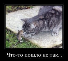 Намешалось