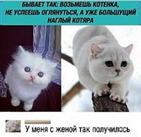 Намешалось