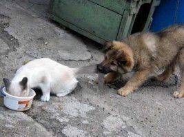 По секрету от всего света