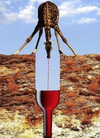 Один дед сказал